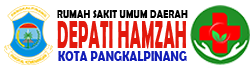 RSUD Depati Hamzah